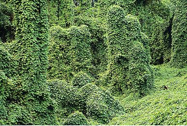 Steam测试客户端更新 远程游玩添加4K支持