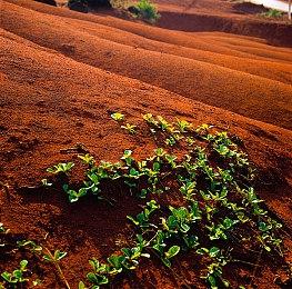 《忍者龙剑传4》公布 已上架Steam！今年秋季发售